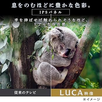 【4K】アイリスオーヤマ 43インチ 43UB20K 2020年製 アイリスオーヤマ LUCA 43UB20K [43インチ] 価格比較 - 価格.com